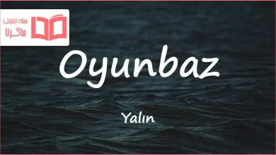 متن و ترجمه آهنگ Oyunbaz از Yalın