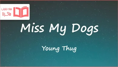 متن و ترجمه آهنگ Miss My Dogs از Young Thug