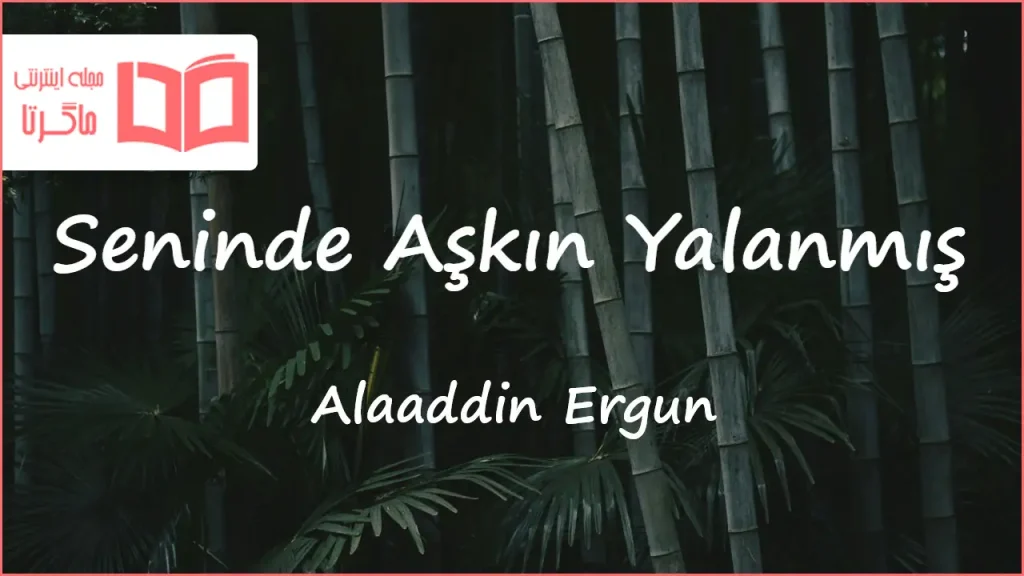 متن و ترجمه آهنگ Seninde Aşkın Yalanmış از Alaaddin Ergün