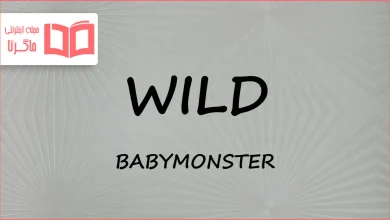 متن و ترجمه آهنگ WILD از BABYMONSTER