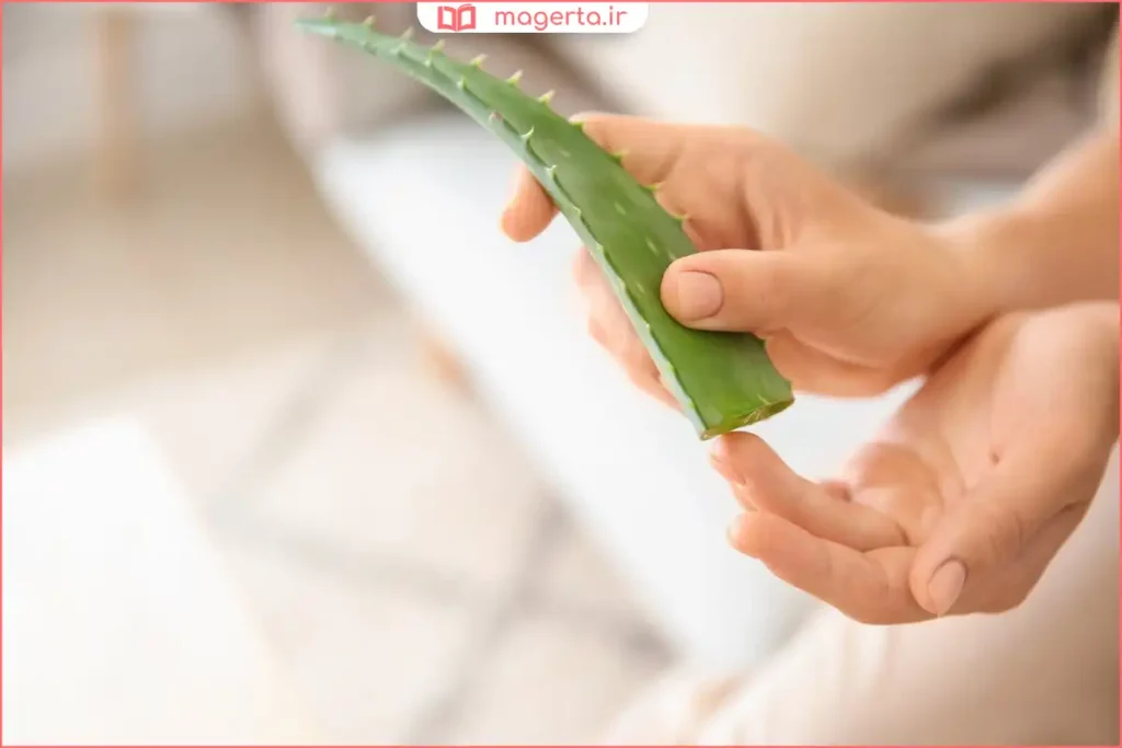 زن در حال مالیدن ژل آلوئه‌ورا روی پوست صورت