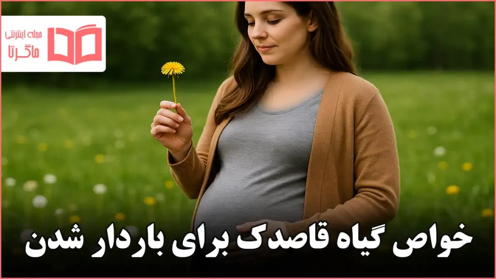 خواص گیاه قاصدک برای باردار شدن