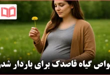 خواص گیاه قاصدک برای باردار شدن