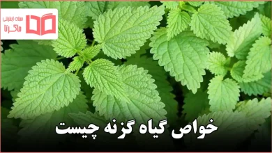 خواص گیاه گزنه چیست