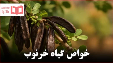 خواص گیاه خرنوب