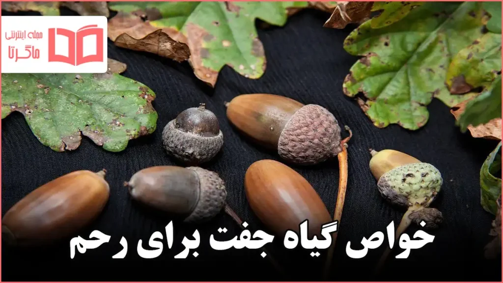 خواص گیاه جفت برای رحم