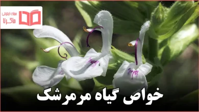 خواص گیاه مرمرشک