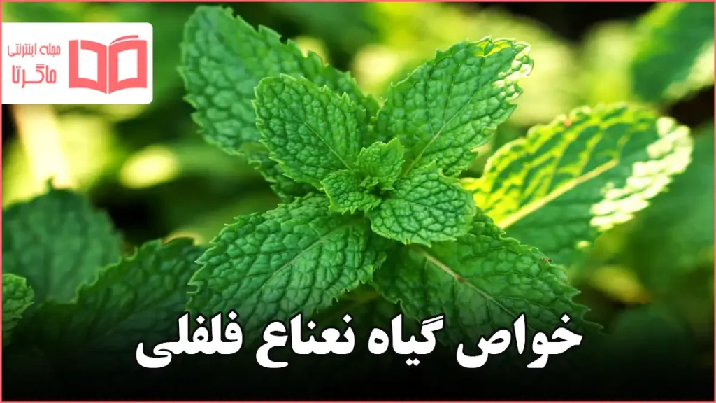 خواص گیاه نعناع فلفلی