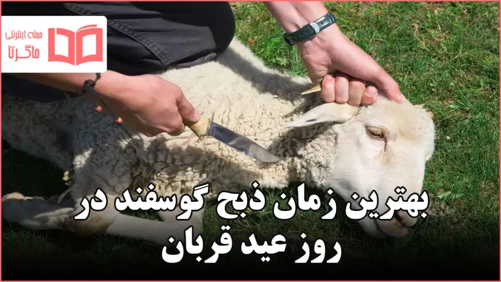 بهترین زمان ذبح گوسفند در روز عید قربان