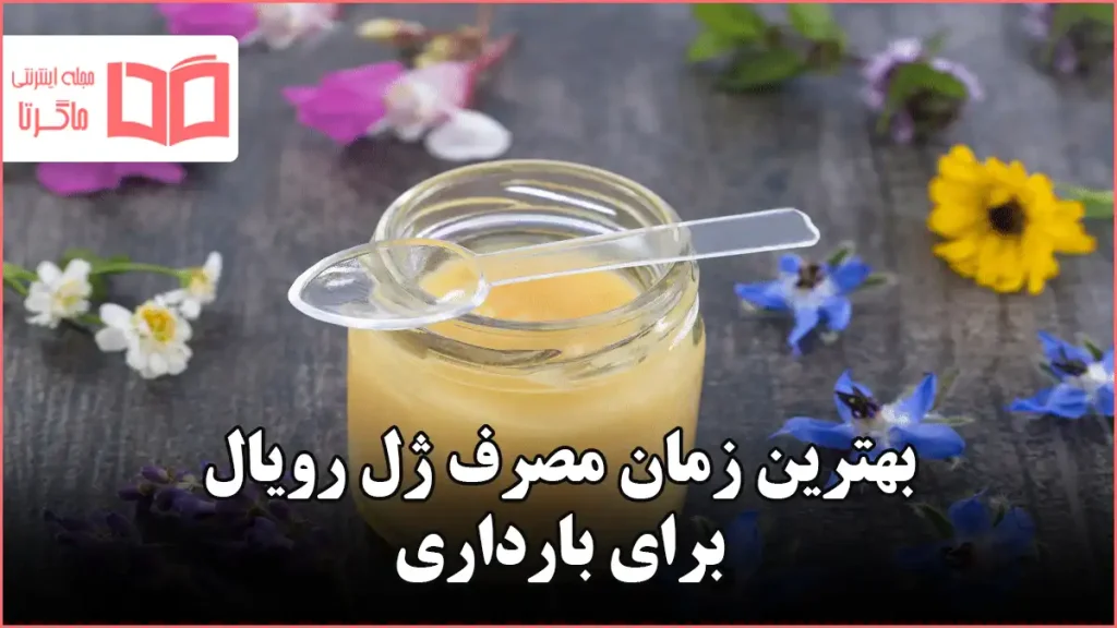بهترین زمان مصرف ژل رویال برای بارداری