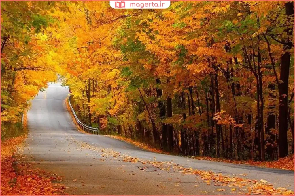 جاده رویایی اسالم به خلخال در پاییز با برگ‌های زرد و قرمز درختان جنگلی