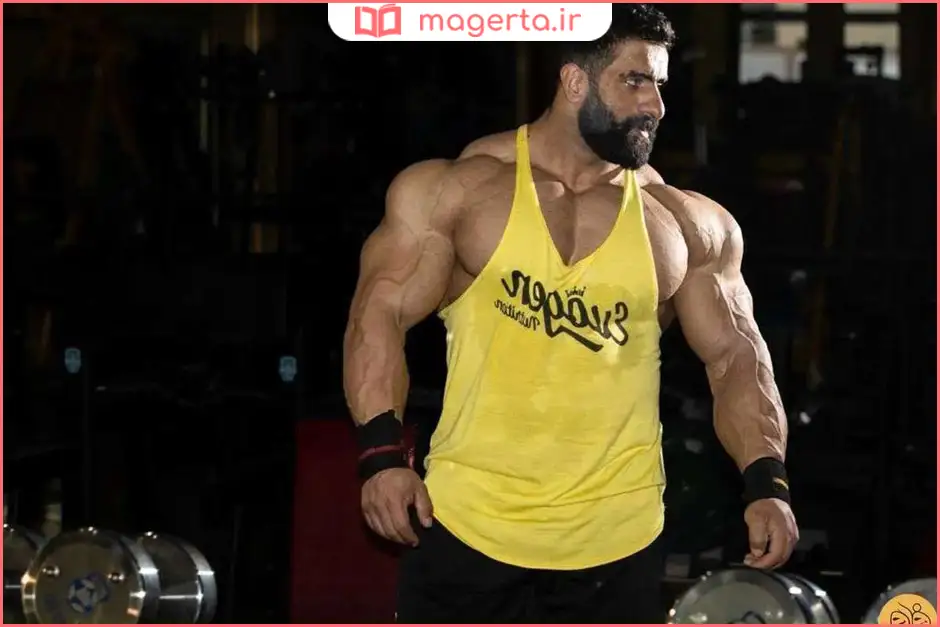 بیوگرافی هادی چوپان