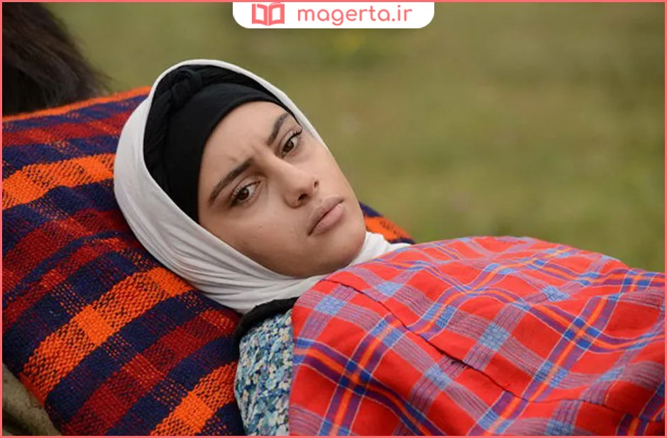 بیوگرافی ترلان پروانه