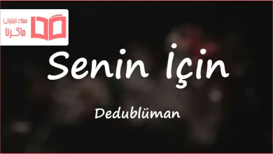 متن و ترجمه آهنگ Senin İçin از Dedublüman