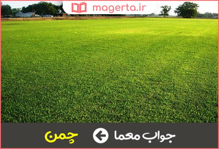جواب معما گستردنی در نخجیرگاه در جدول