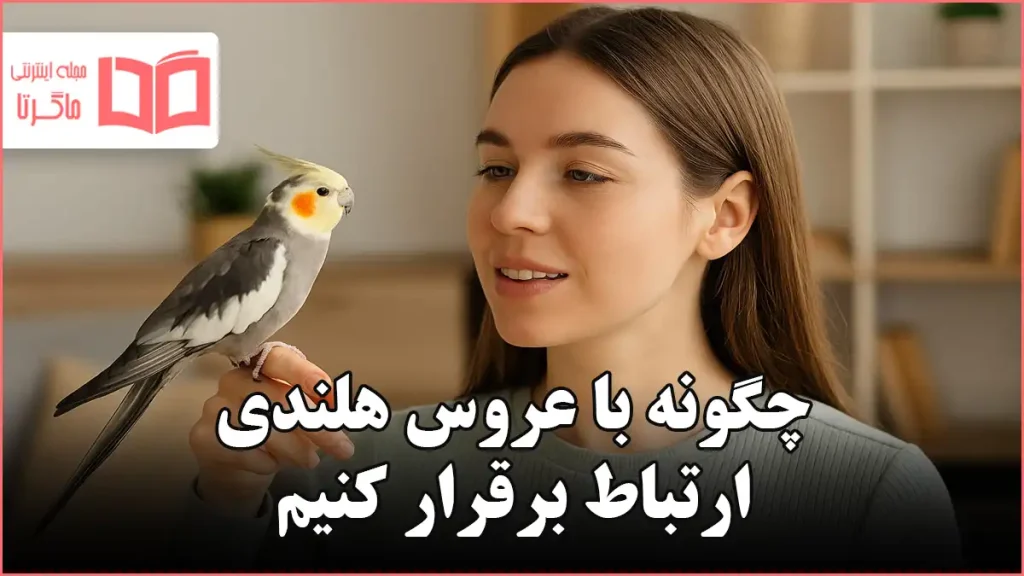 چگونه با عروس هلندی ارتباط برقرار کنیم