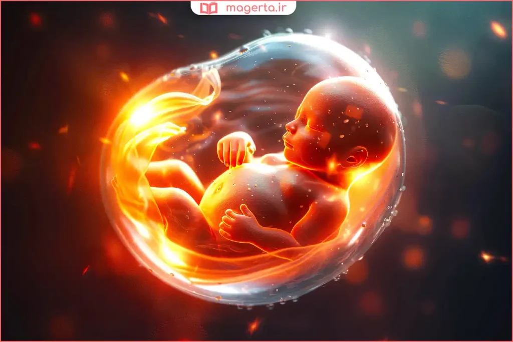 پزشک در حال بررسی صدای قلب جنین با دستگاه داپلر