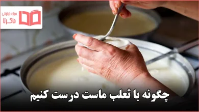چگونه با ثعلب ماست درست کنیم