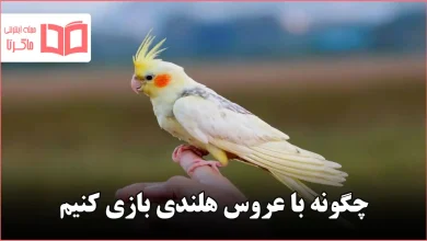 چگونه با عروس هلندی بازی کنیم