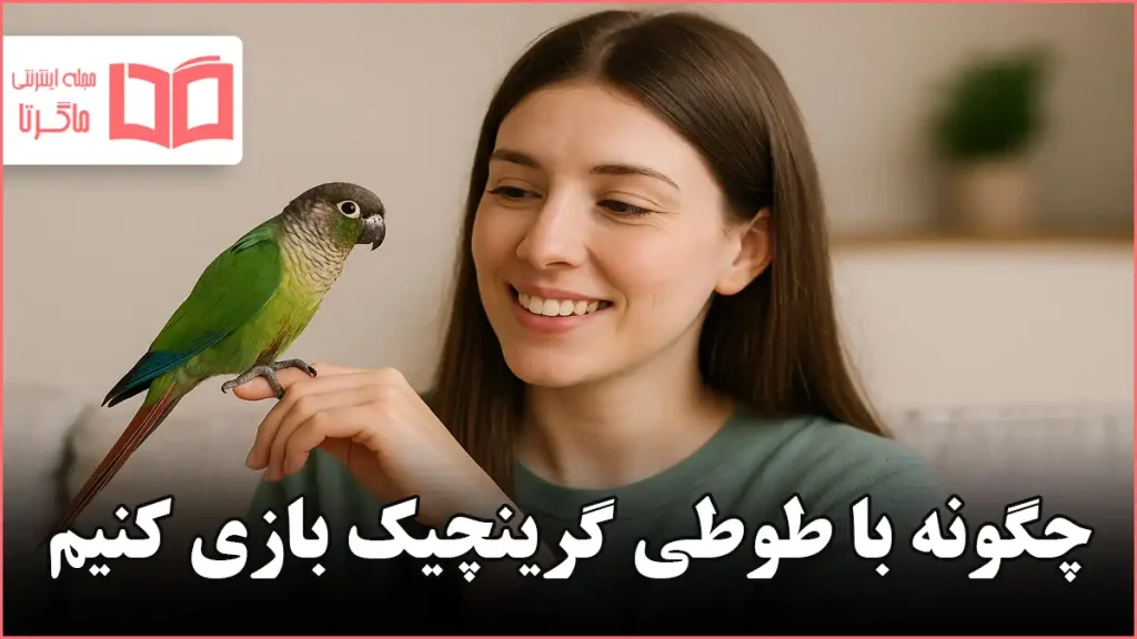 چگونه با طوطی گرینچیک بازی کنیم