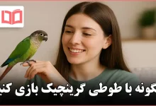 چگونه با طوطی گرینچیک بازی کنیم