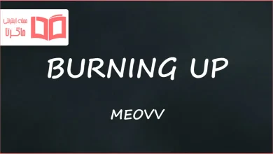 متن و ترجمه آهنگ BURNING UP از MEOVV