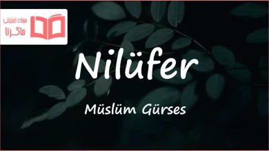 متن و ترجمه آهنگ Nilüfer از Müslüm Gürses