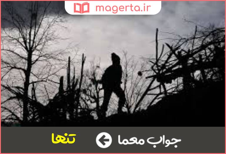 جواب معما تک و یکه در جدول