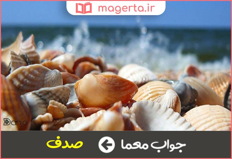 جواب معما بر ساحل بجویید در جدول