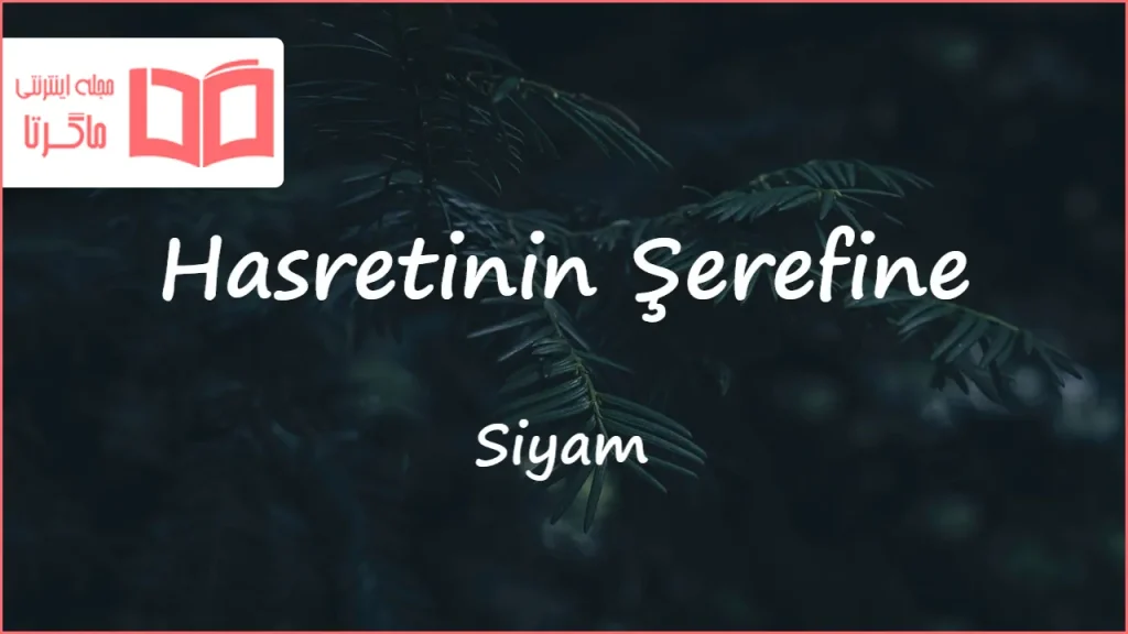 متن و ترجمه آهنگ Hasretinin Şerefine از Siyam و Zara