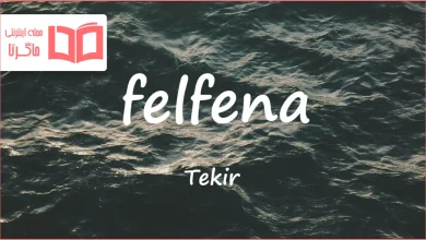 متن و ترجمه آهنگ Felfena از Tekir