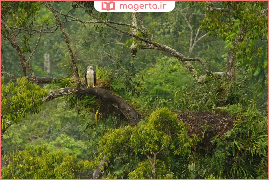 پارک حیات وحش و کوه آپو