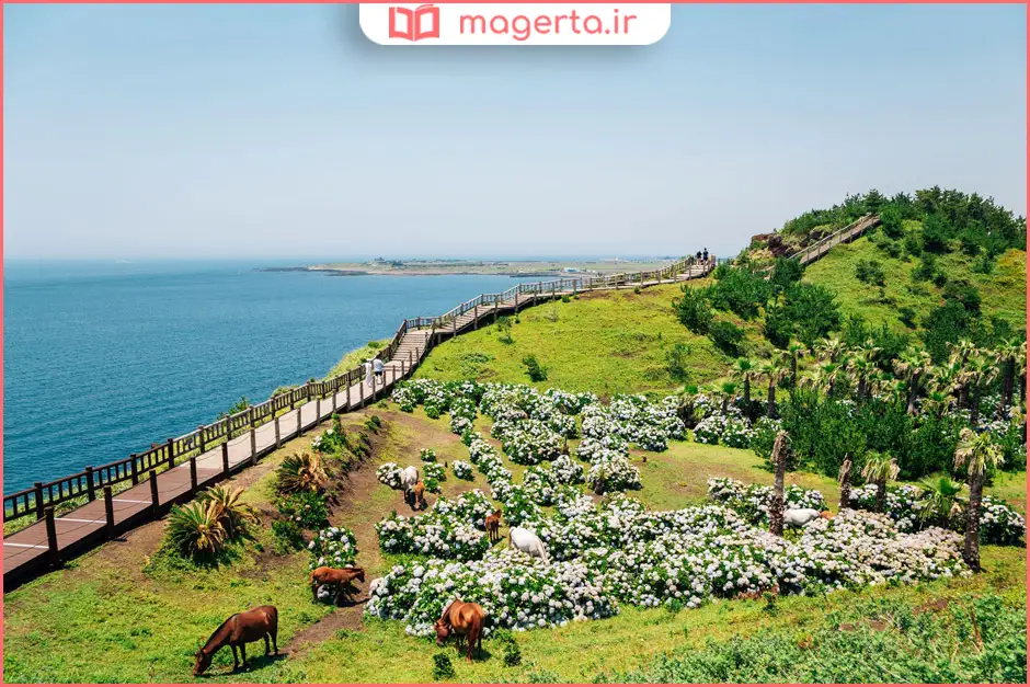 غارهای گدازه‌ای و پارک‌های طبیعی