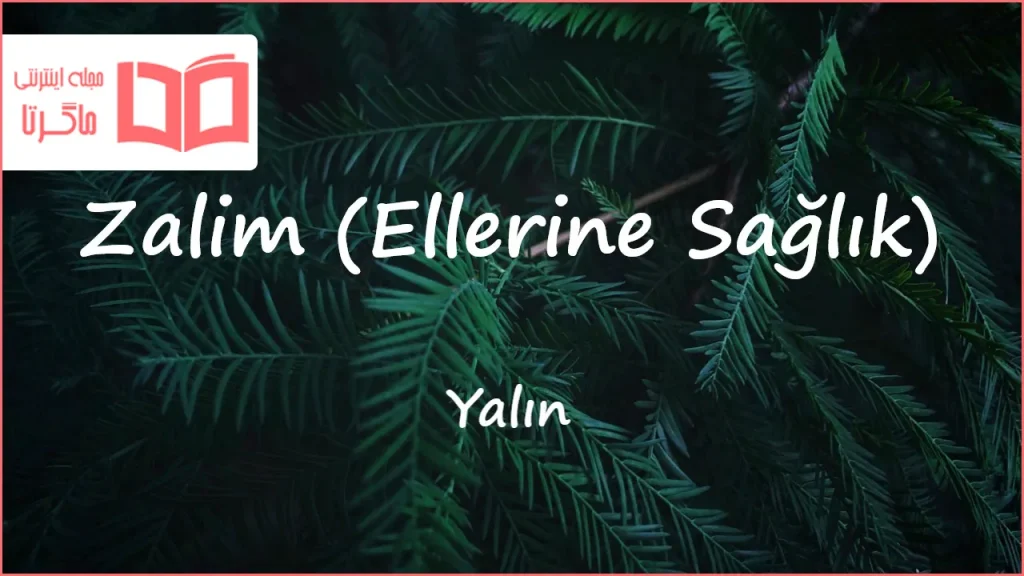 متن و ترجمه آهنگ Zalim (Ellerine Sağlık) از Yalın