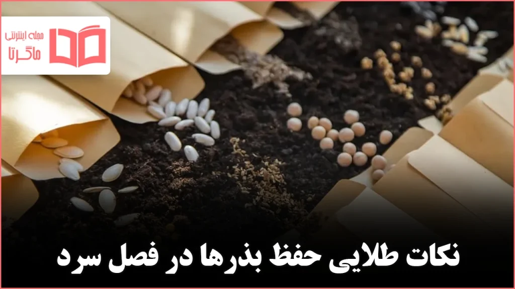 ۱۱ نکته برای ذخیره‌سازی بذرها پیش از زمستان