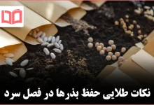 ۱۱ نکته برای ذخیرهسازی بذرها پیش از زمستان
