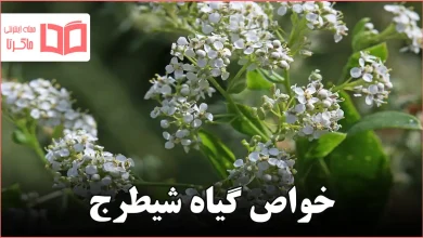 خواص گیاه شیطرج