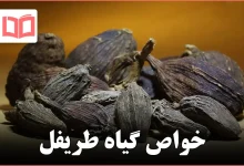خواص گیاه طریفل
