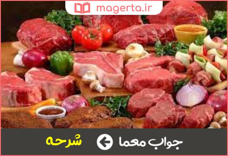 جواب معما پاره ای از گوشت در جدول