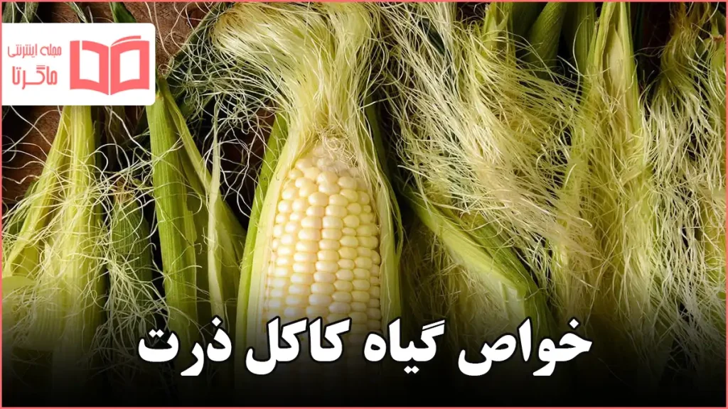 خواص گیاه کاکل ذرت