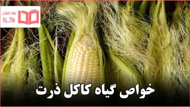 خواص گیاه کاکل ذرت