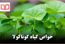 خواص گیاه گوتاکولا