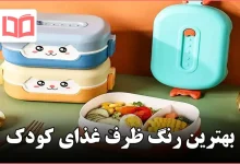 بهترین رنگ ظرف غذای کودک