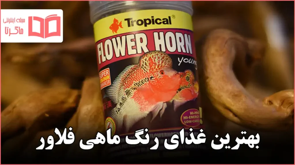 بهترین غذای رنگ ماهی فلاور