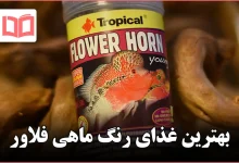 بهترین غذای رنگ ماهی فلاور