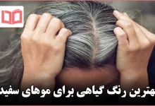 بهترین رنگ گیاهی برای موهای سفید