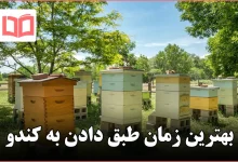 بهترین زمان طبق دادن به کندو