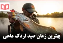 بهترین زمان صید اردک ماهی