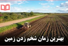 بهترین زمان شخم زدن زمین