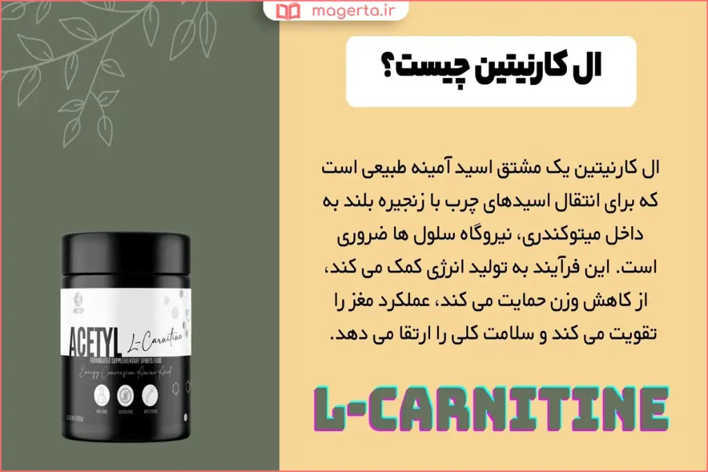 مصرف ال‌کارنیتین همراه با آب در صبح برای افزایش انرژی
